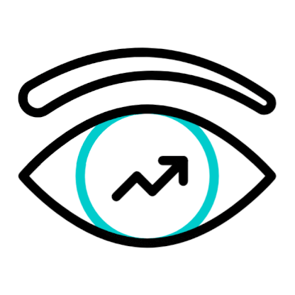 vision